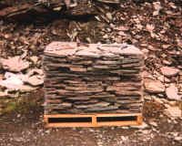 ws1.jpg (62163 bytes)